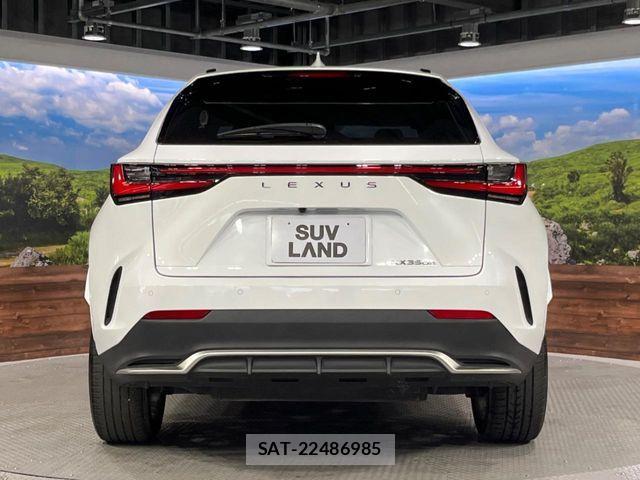 Lexus NX 2023-03 7059285-14