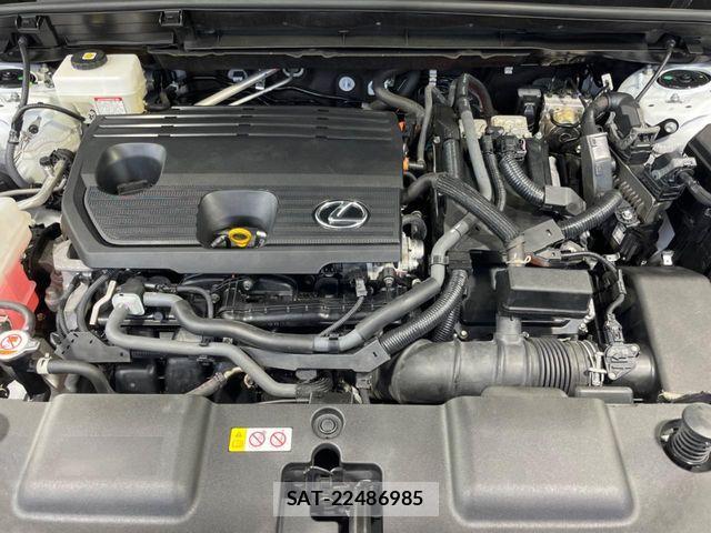 Lexus NX 2023-03 7059285-17