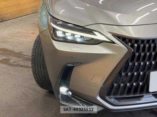 Lexus NX 2022-05 7059296-11