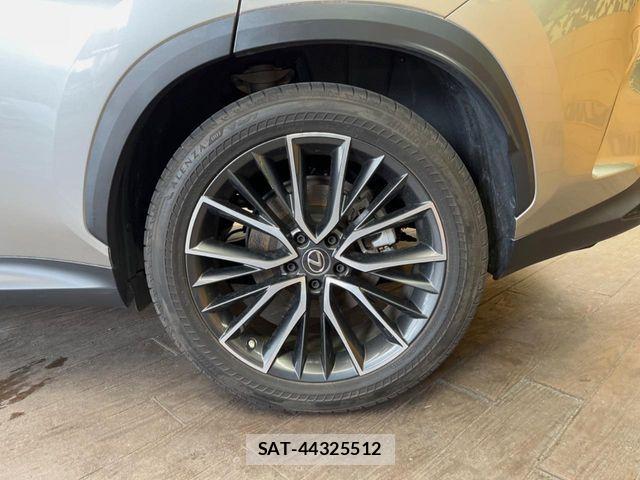 Lexus NX 2022-05 7059296-12