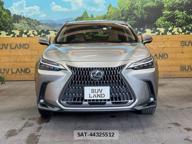 Lexus NX 2022-05 7059296-13