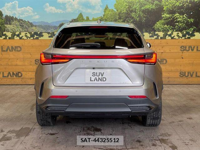 Lexus NX 2022-05 7059296-14