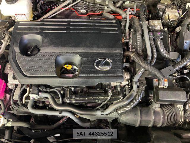Lexus NX 2022-05 7059296-17