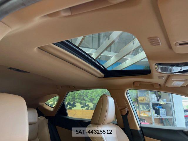 Lexus NX 2022-05 7059296-4