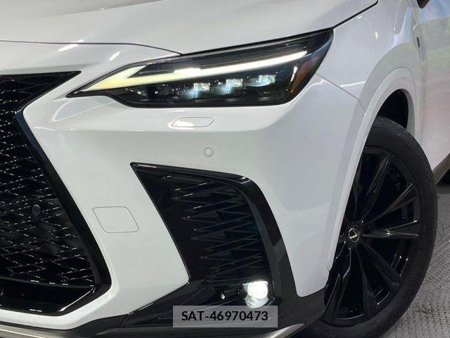 Lexus NX 2023-08 7059286-11