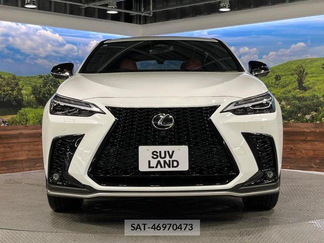 Lexus NX 2023-08 7059286-13