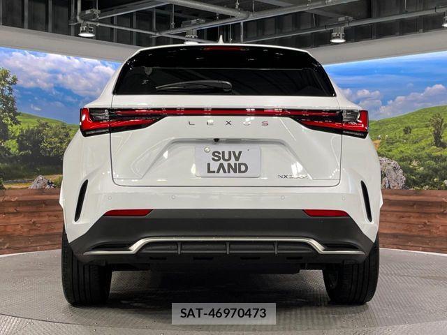 Lexus NX 2023-08 7059286-14