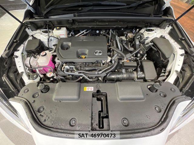 Lexus NX 2023-08 7059286-17