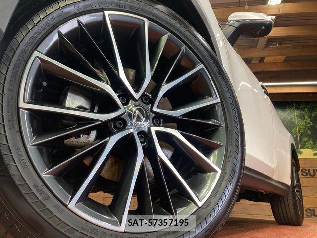 Lexus NX 2023-07 7059295-12