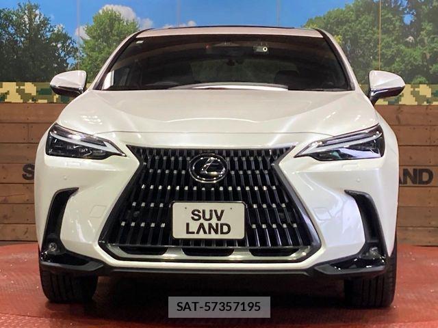 Lexus NX 2023-07 7059295-13