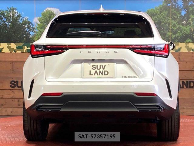 Lexus NX 2023-07 7059295-14