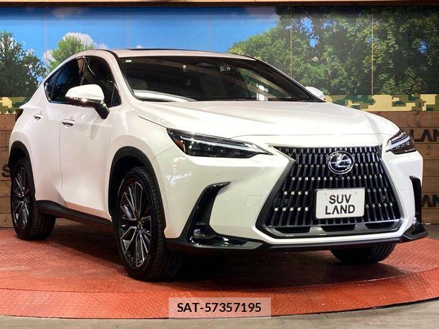 Lexus NX 2023-07 7059295-15