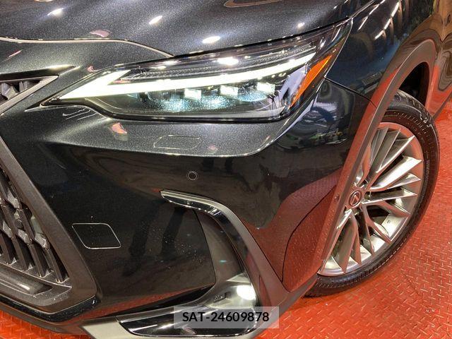 Lexus NX 2023-02 7221054-11
