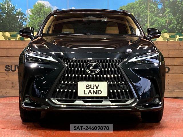Lexus NX 2023-02 7221054-13