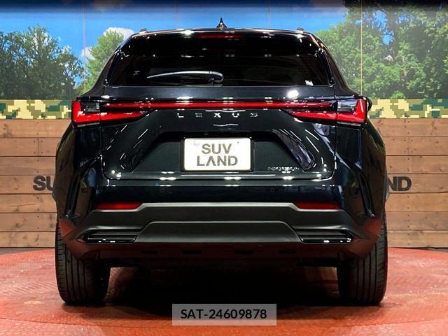 Lexus NX 2023-02 7221054-14