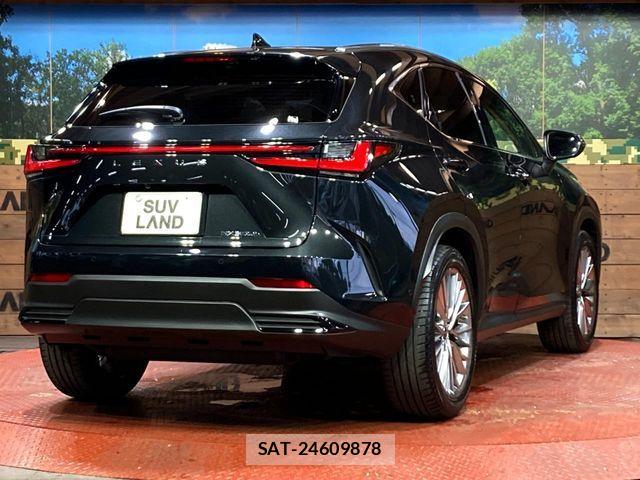 Lexus NX 2023-02 7221054-16