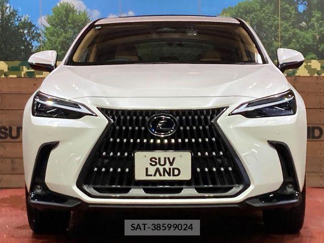 Lexus NX 2022-07 7221049-13