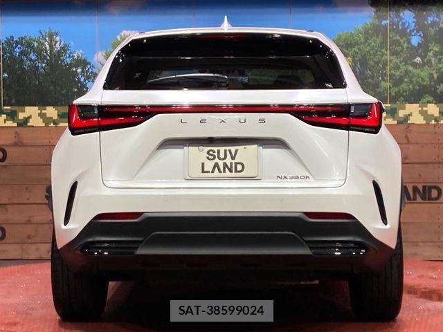 Lexus NX 2022-07 7221049-14