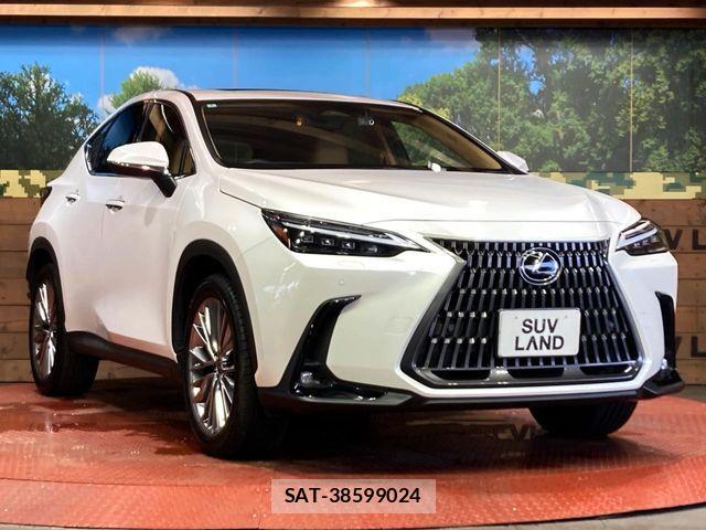 Lexus NX 2022-07 7221049-15