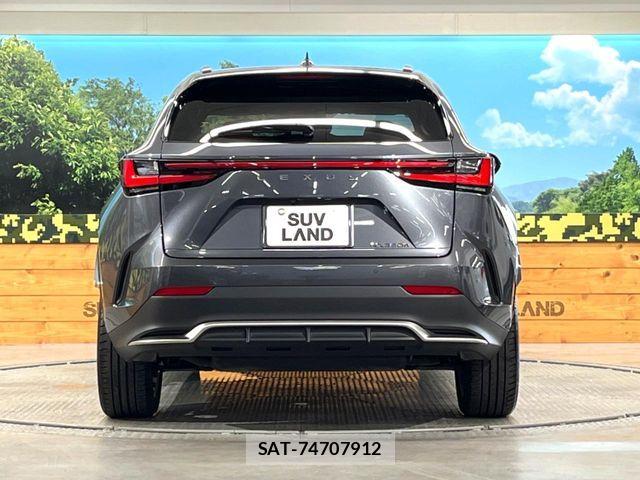 Lexus NX 2024-12 7221081-14