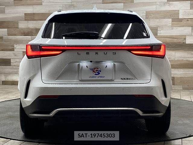 Lexus NX 2023-05 7221071-14
