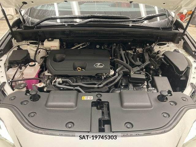 Lexus NX 2023-05 7221071-17