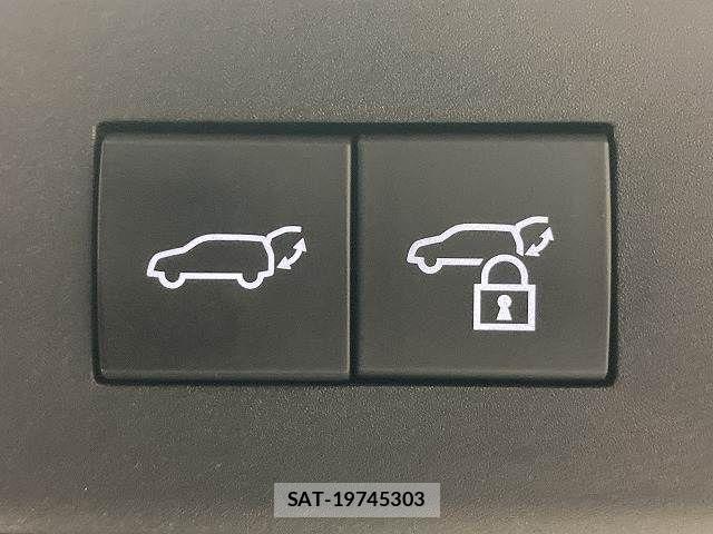 Lexus NX 2023-05 7221071-7