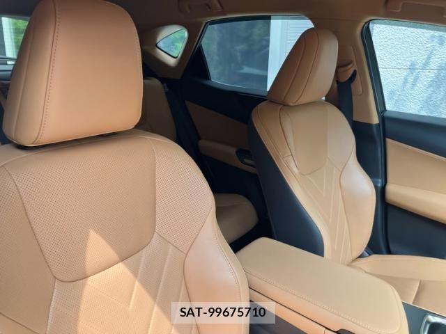 Lexus NX 2023-07 7221079-16