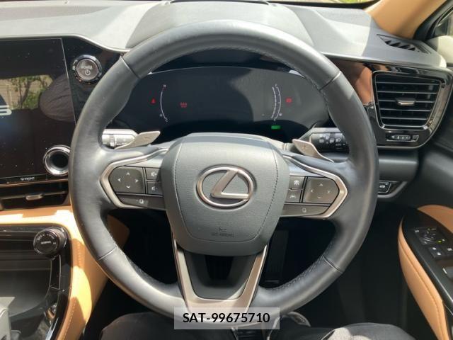 Lexus NX 2023-07 7221079-19