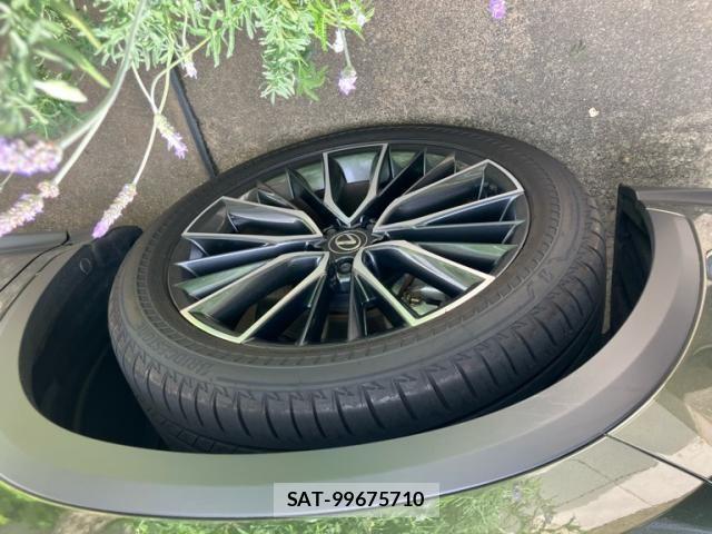Lexus NX 2023-07 7221079-8
