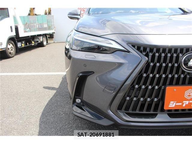 Lexus NX 2023-03 7221063-14