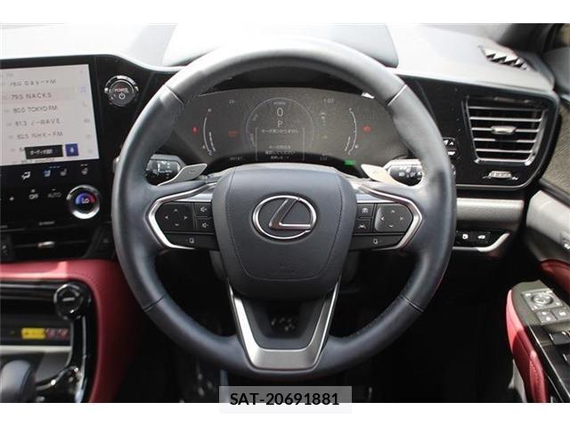 Lexus NX 2023-03 7221063-24