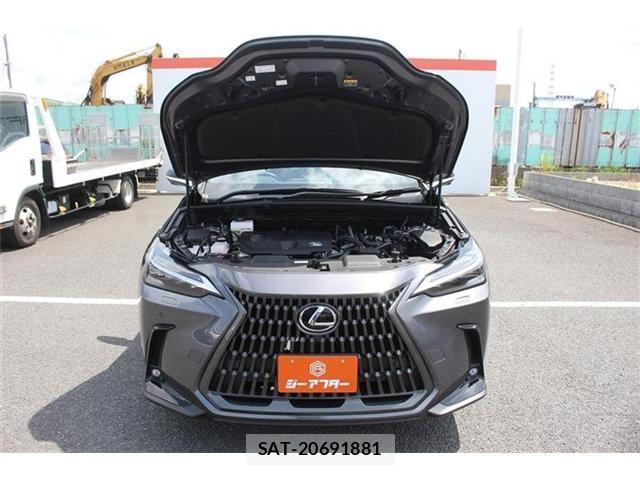 Lexus NX 2023-03 7221063-28