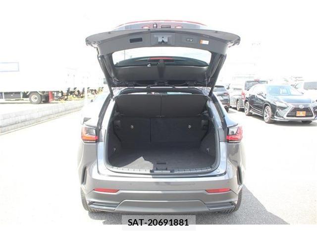 Lexus NX 2023-03 7221063-29
