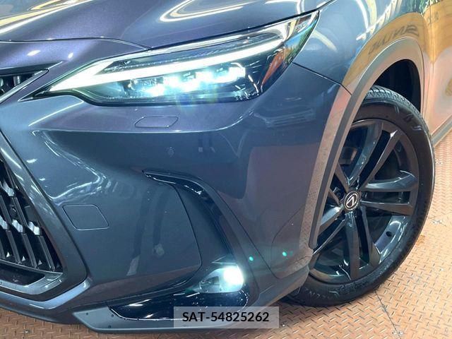 Lexus NX 2023-06 7221065-13
