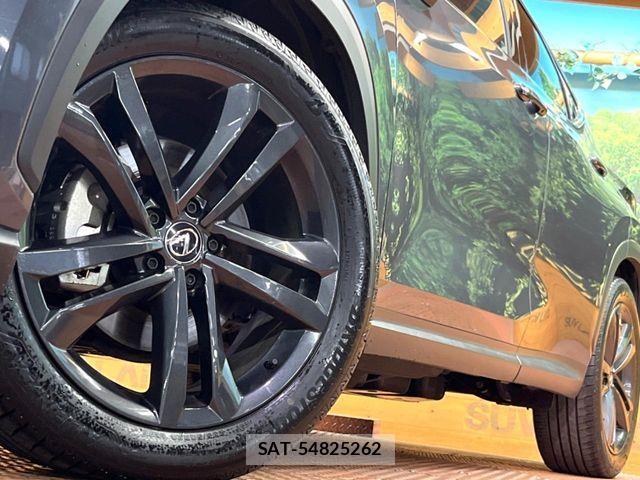 Lexus NX 2023-06 7221065-14