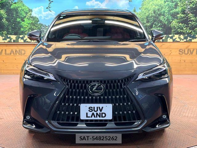 Lexus NX 2023-06 7221065-15
