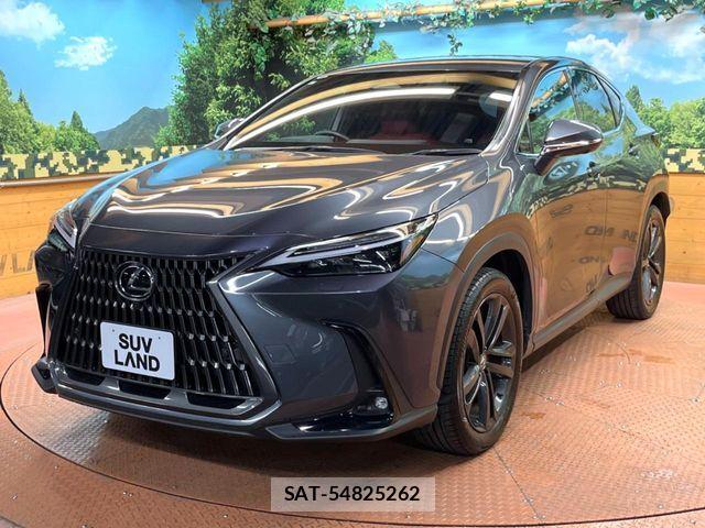 Lexus NX 2023-06 7221065-18