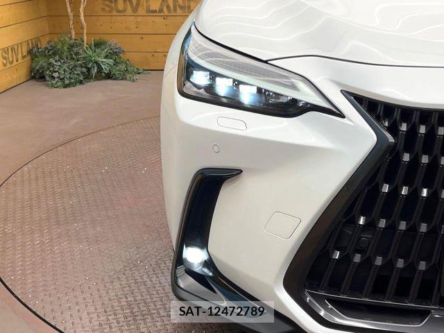 Lexus NX 2023-11 7221077-11