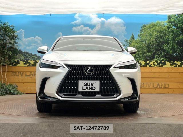 Lexus NX 2023-11 7221077-13