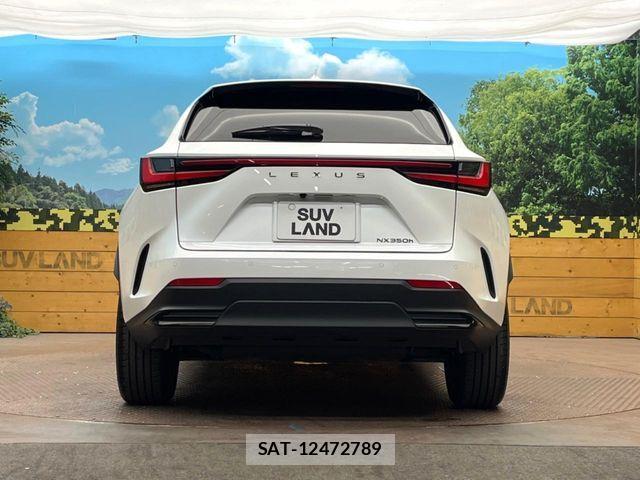 Lexus NX 2023-11 7221077-14