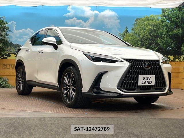 Lexus NX 2023-11 7221077-15
