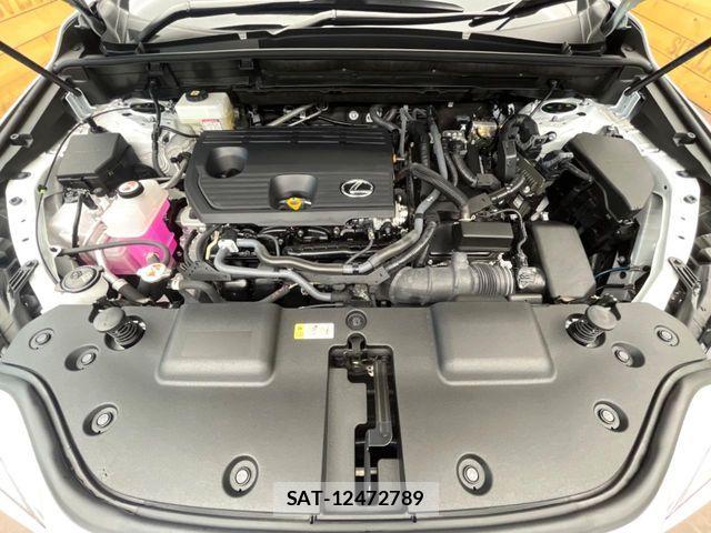 Lexus NX 2023-11 7221077-17