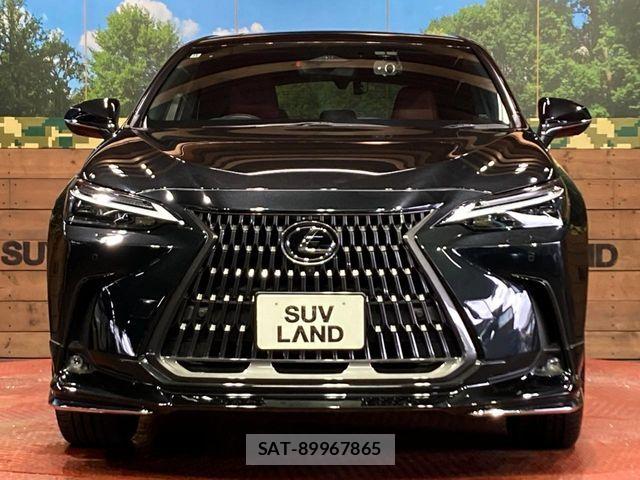 Lexus NX 2022-11 7221052-13
