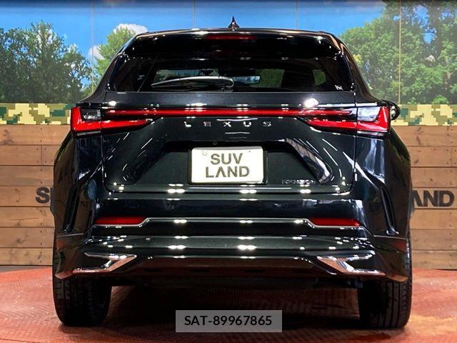 Lexus NX 2022-11 7221052-14