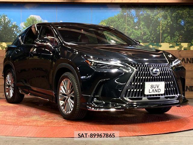 Lexus NX 2022-11 7221052-15
