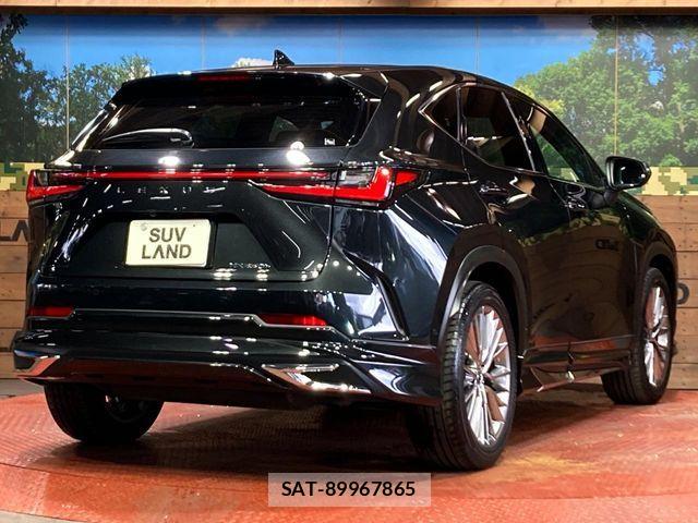Lexus NX 2022-11 7221052-16