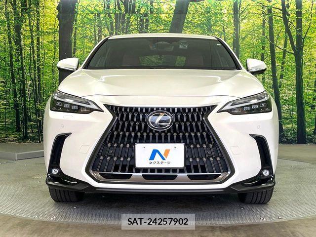 Lexus NX 2023-02 7221055-13