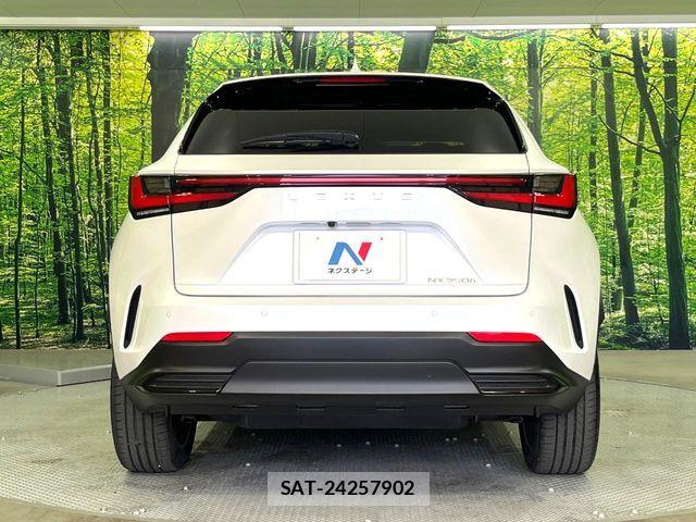 Lexus NX 2023-02 7221055-14