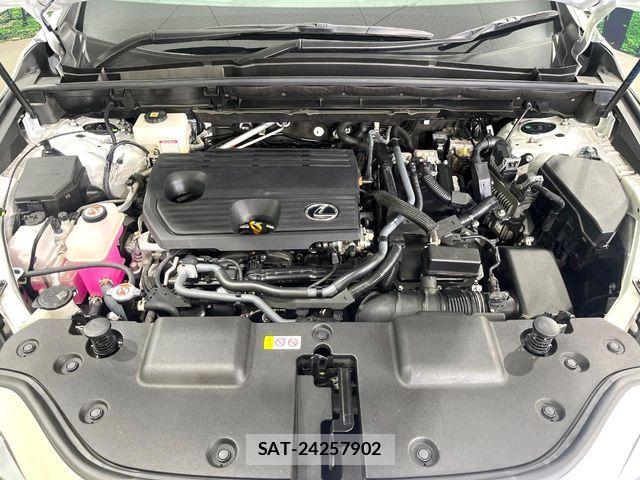 Lexus NX 2023-02 7221055-17